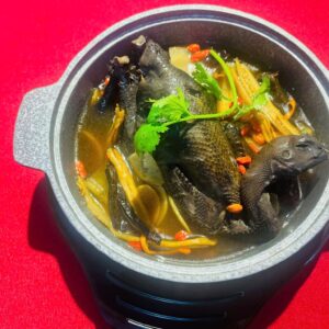 Home 6 địa chỉ bán gà ác tiềm nhân sâm